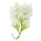 12 Packs: 12 ct. (144 total) Calla Lily Paper Flowers by Recollections™
